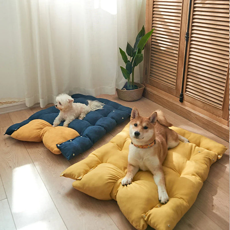 Caminha Pet Comfy - Multifuncional