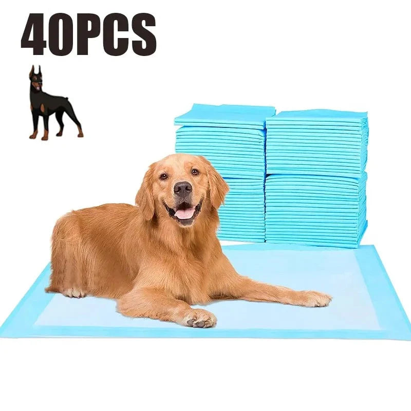 Tapete Higiênico Para Cachorro - Ultra Absorvente